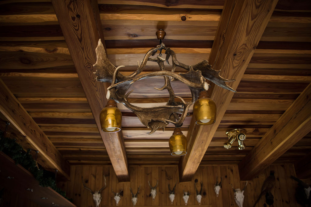 merge Svatba v brněnské myslivně