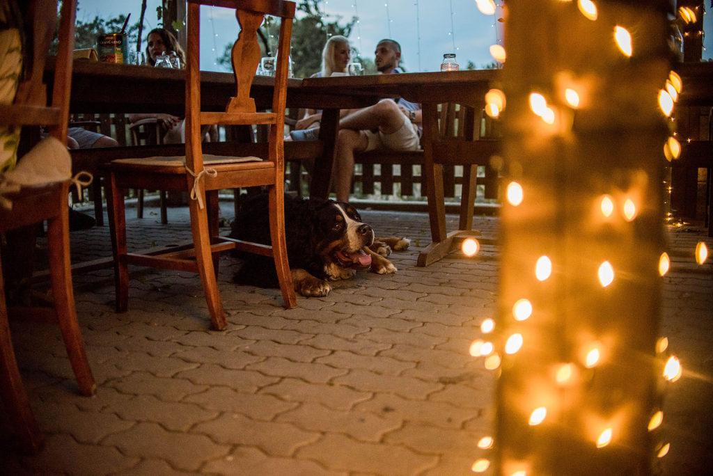 merge Svatba v brněnské myslivně